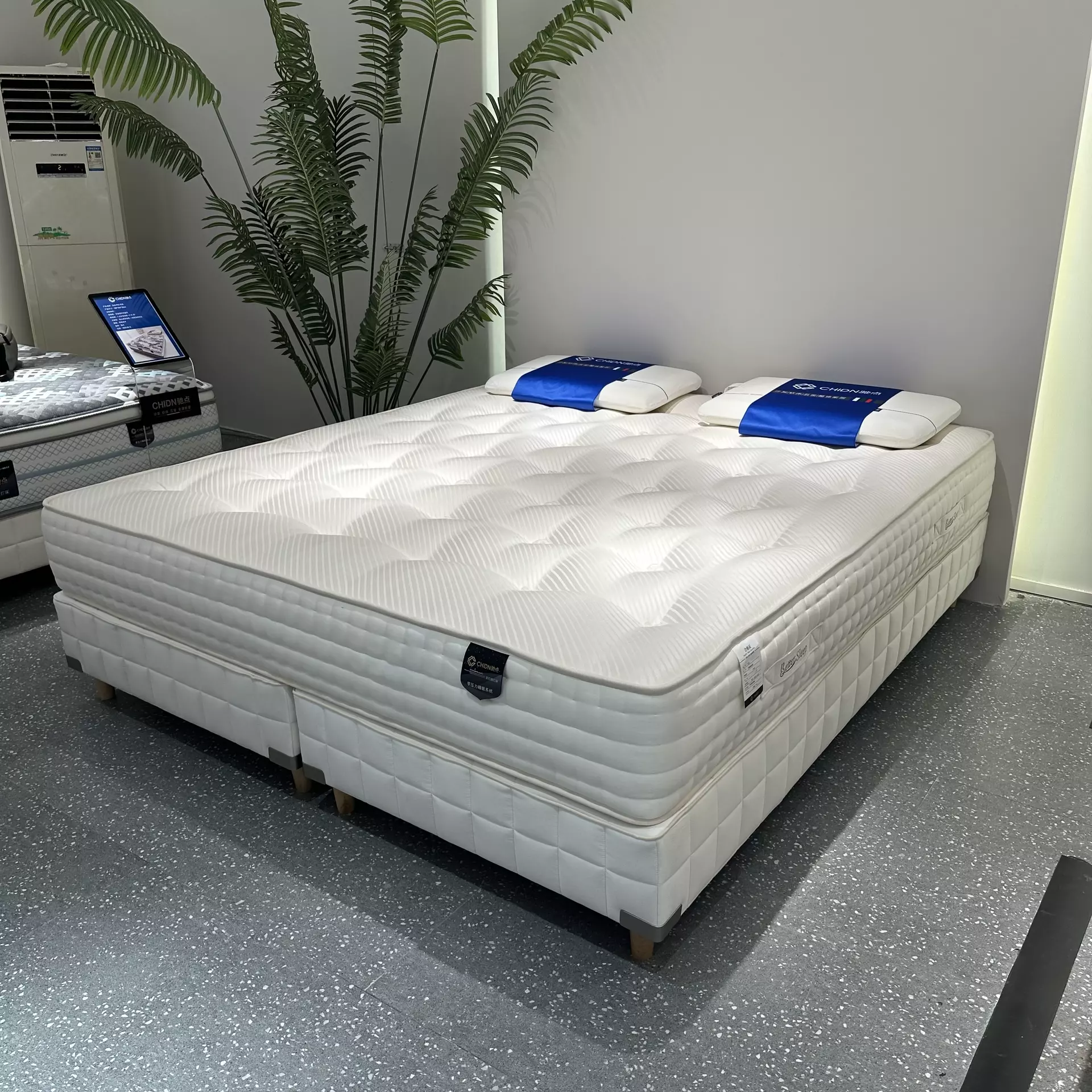 Amy Mattresses